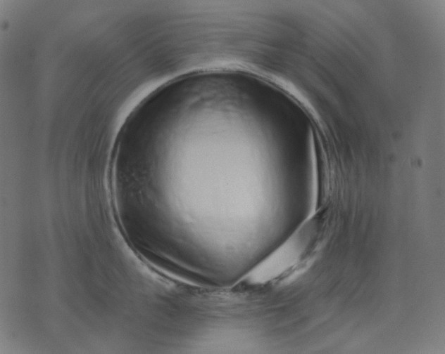 X0000074280959200609081824