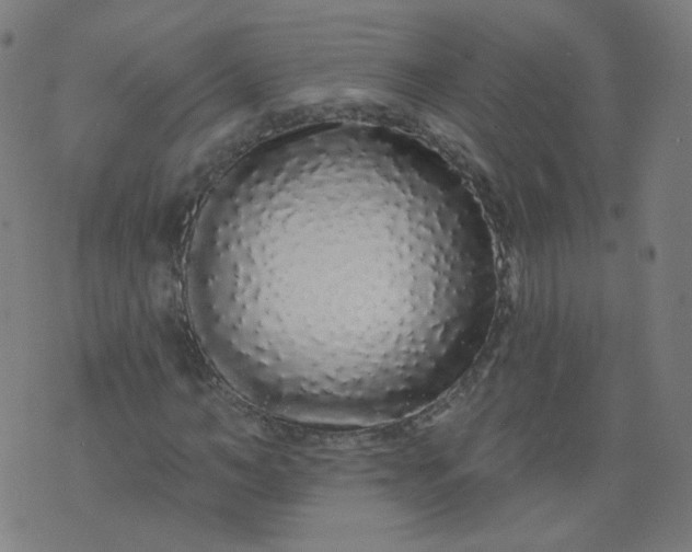 X0000074280966200609081823
