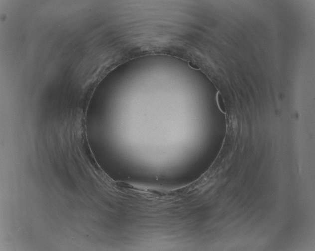 X0000074281012200609081821