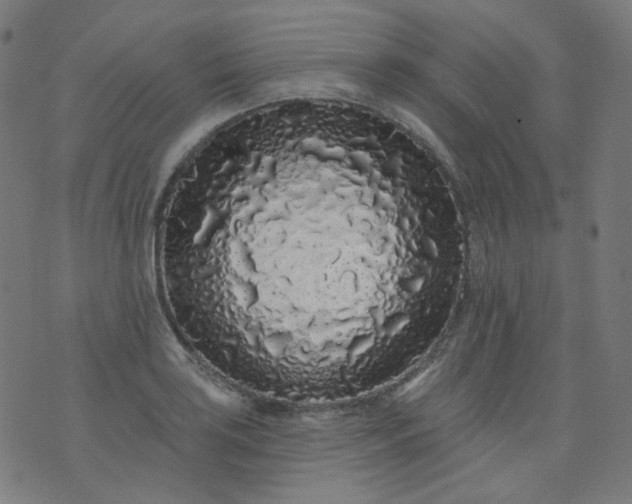 X0000074281035200609081822