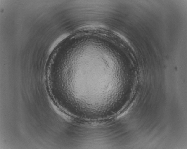 X0000074281042200609081822