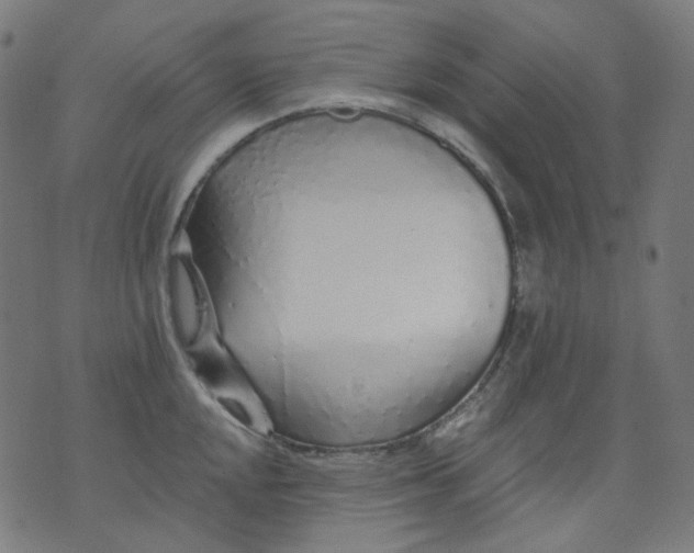 X0000074281048200609081822