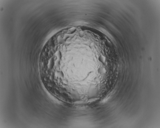 X0000074281055200609081822