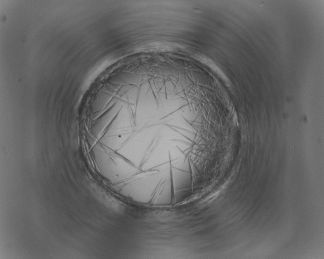 X0000074281075200609081821