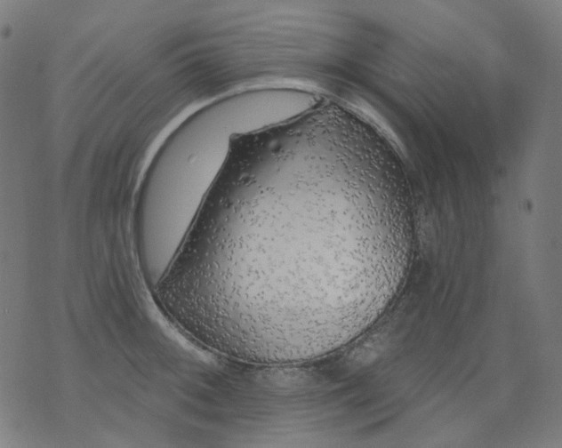 X0000074281092200609081821
