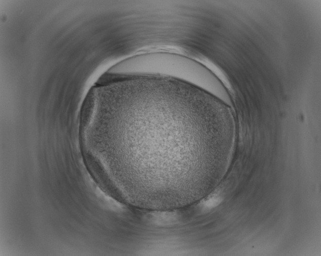 X0000074281102200609081820