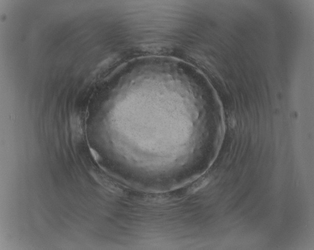 X0000074281106200609081820