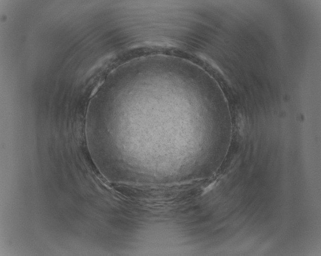 X0000074281110200609081820