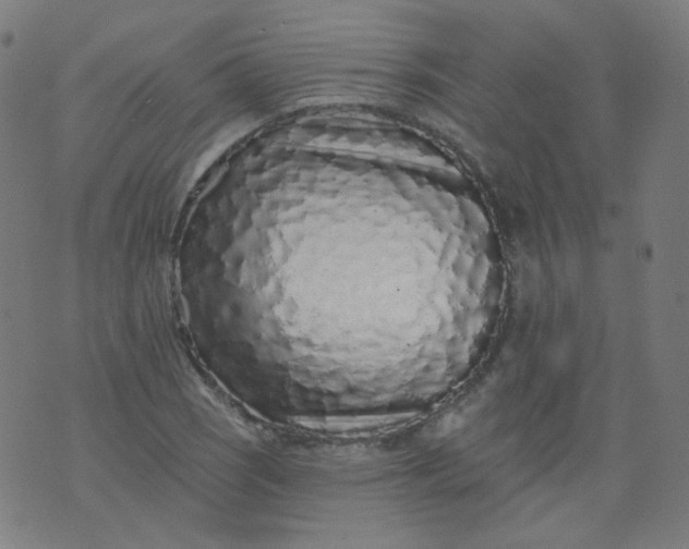 X0000074281121200609081820