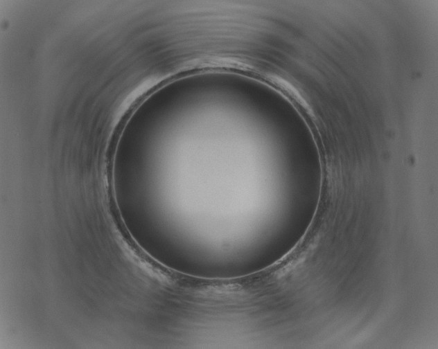 X0000074281133200609081820