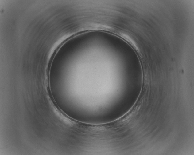 X0000074281136200609081820