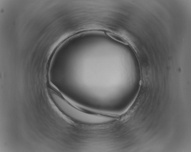 X0000074281142200609081820