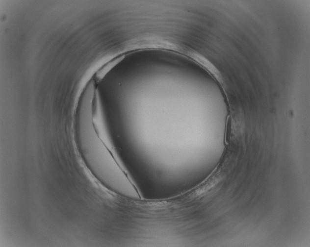 X0000074281144200609081820
