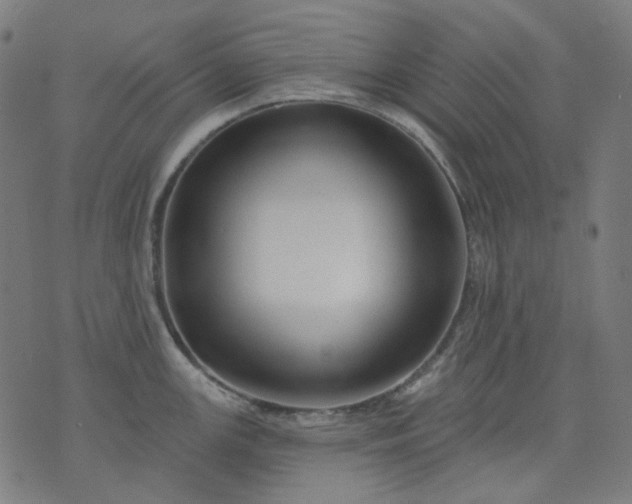 X0000074281147200609081820