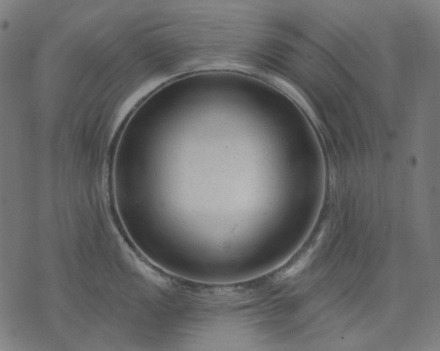 X0000074281149200609081820