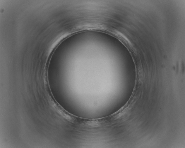 X0000074281182200609081819