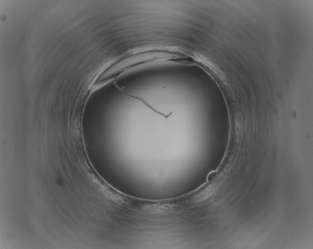 X0000074281185200609081819