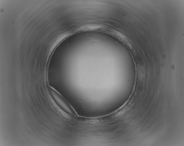 X0000074281186200609081819