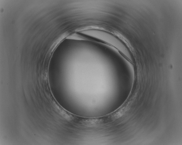 X0000074281193200609081819