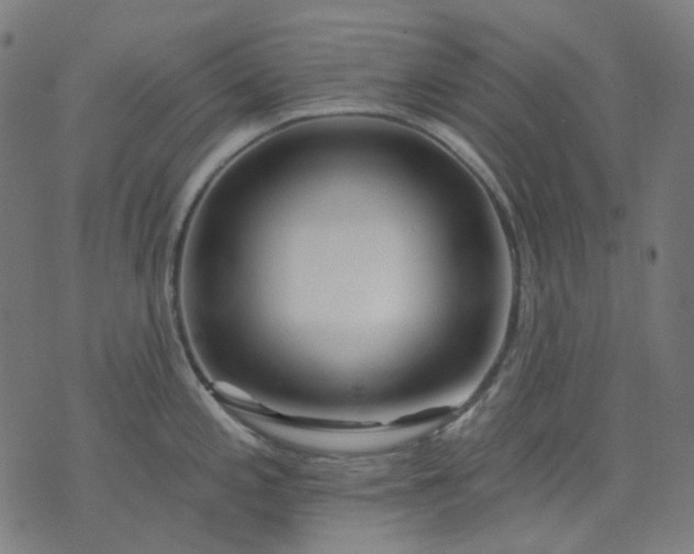 X0000074281197200609081819