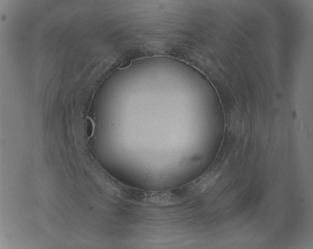 X0000074281201200609081818