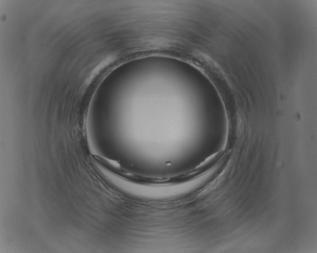 X0000074281210200609081818