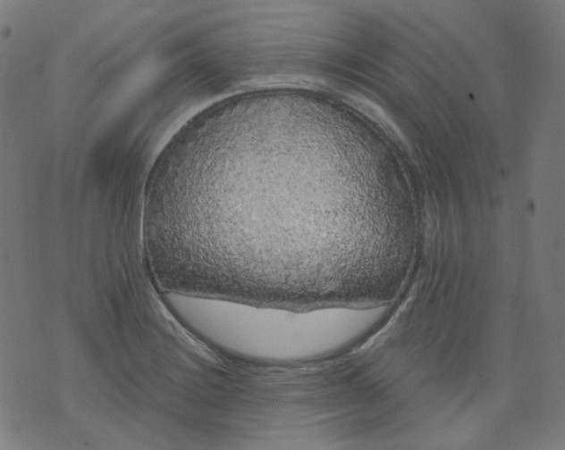 X0000074281228200609081819