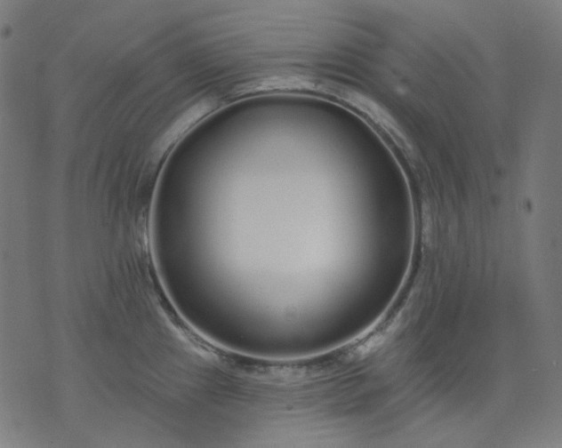 X0000074281241200609081819