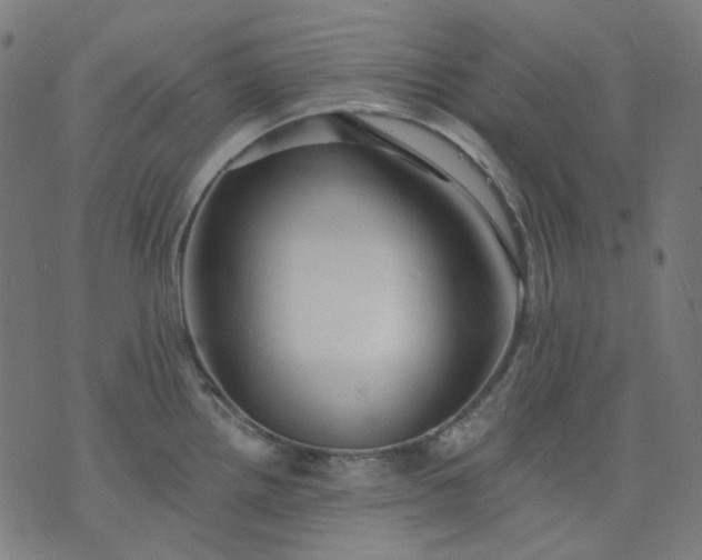 X0000074281242200609081819