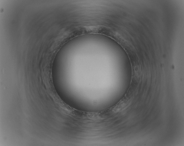 X0000074281249200609081818