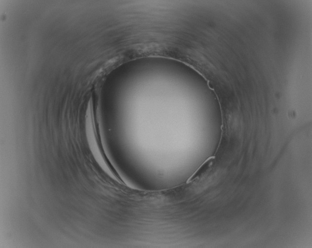 X0000074281250200609081818