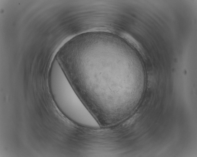 X0000074281284200609081818
