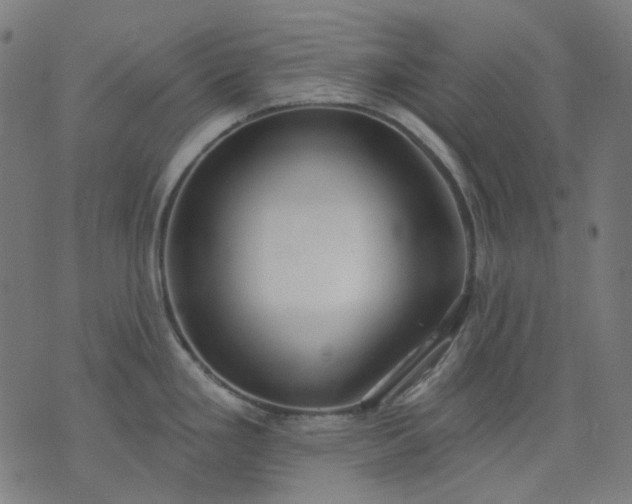 X0000074281293200609081817
