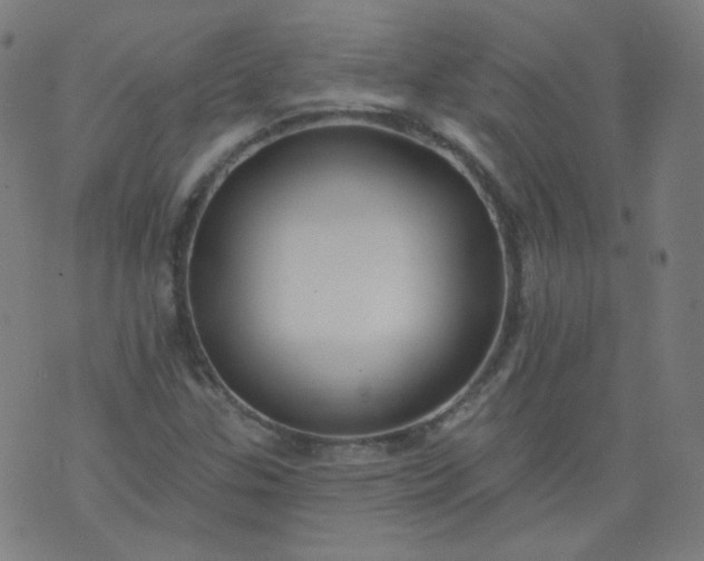 X0000074281307200609081817