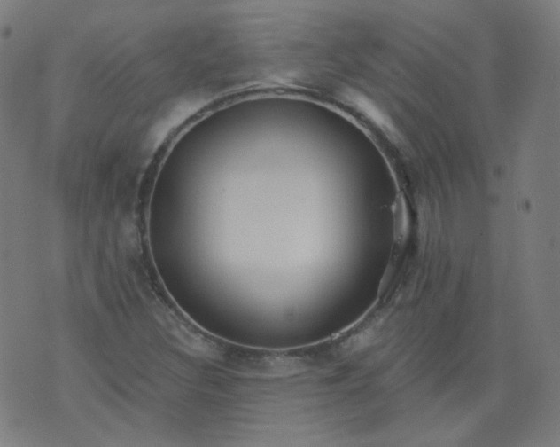 X0000074281308200609081817