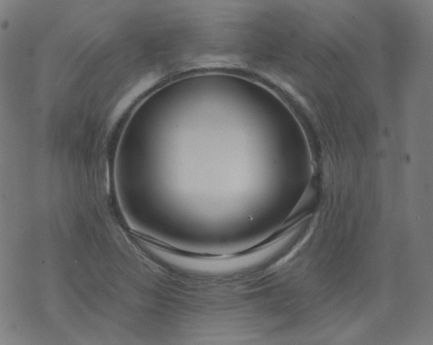 X0000074281317200609081817