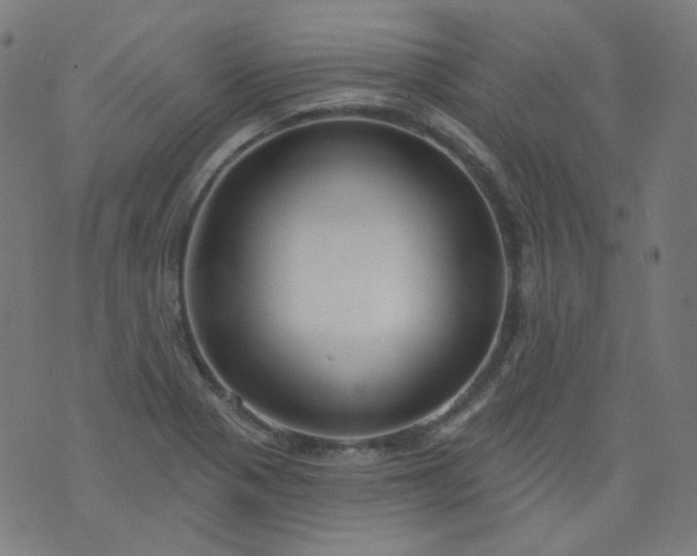 X0000074281321200609081817