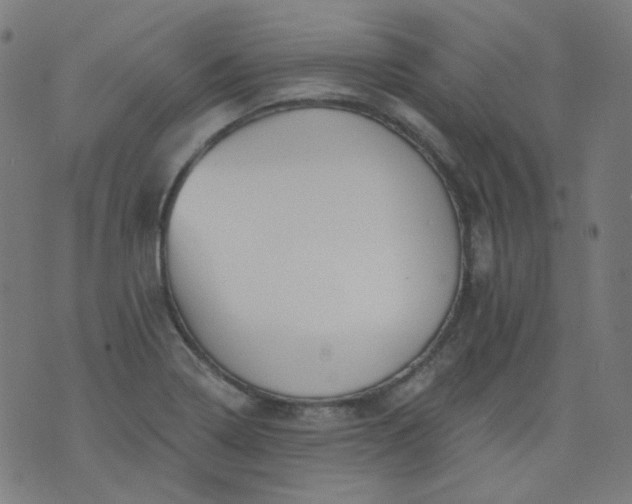 X0000074281322200609081817