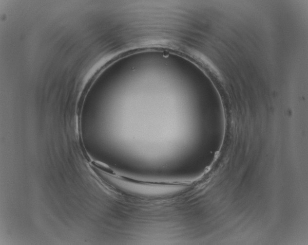 X0000074281324200609081817