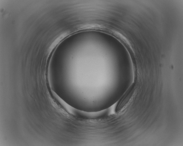 X0000074281330200609081817