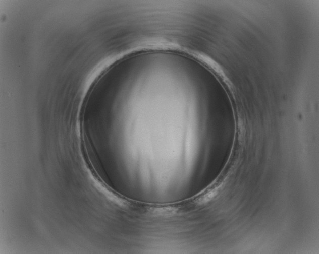 X0000074281335200609081817
