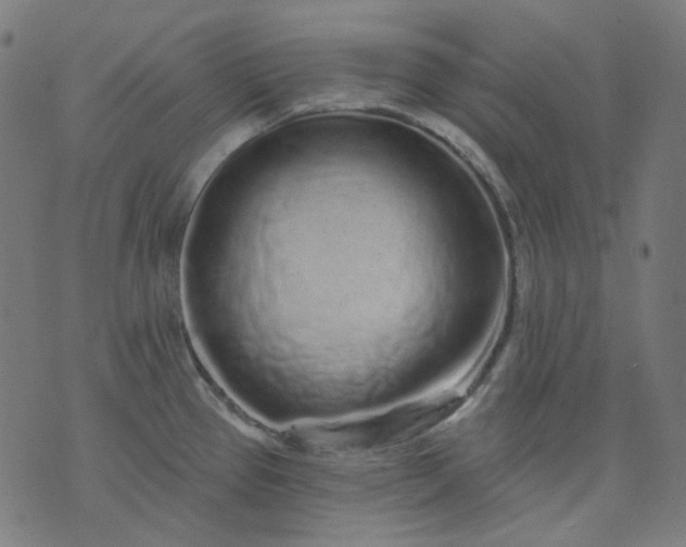 X0000074281337200609081817