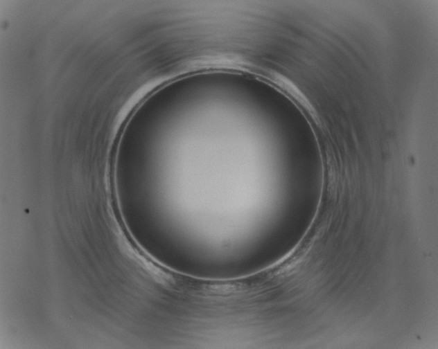 X0000074281339200609081817