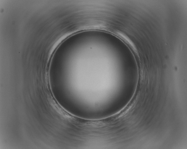 X0000074281340200609081817