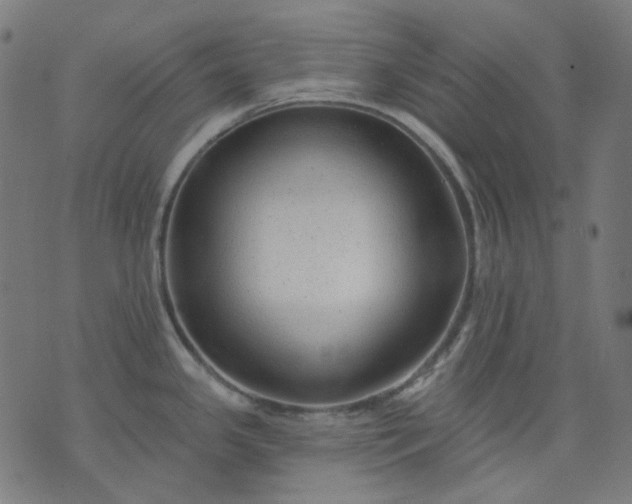 X0000074281341200609081817