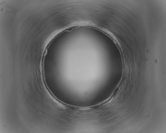 X0000074281343200609081817