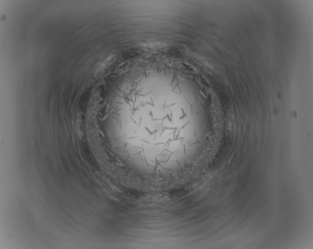 X0000074281346200609081817