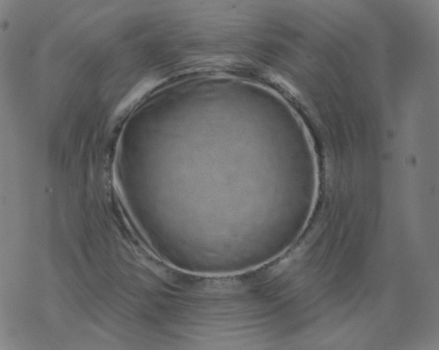 X0000074281354200609081816