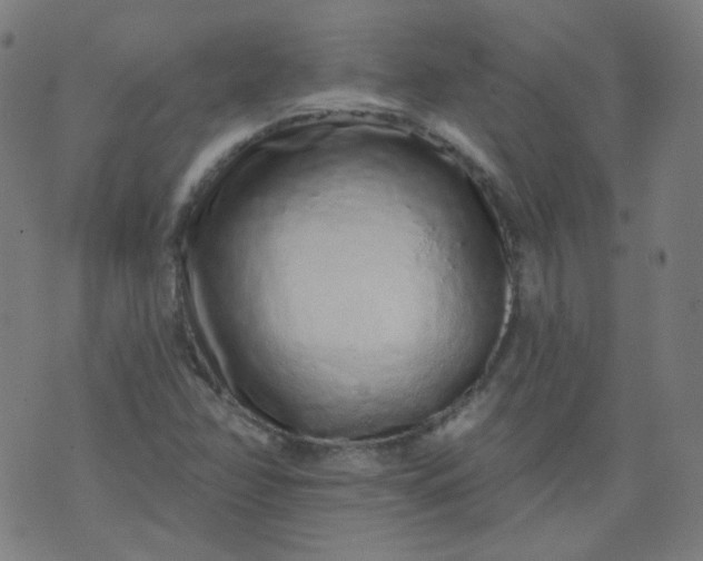 X0000074281358200609081816