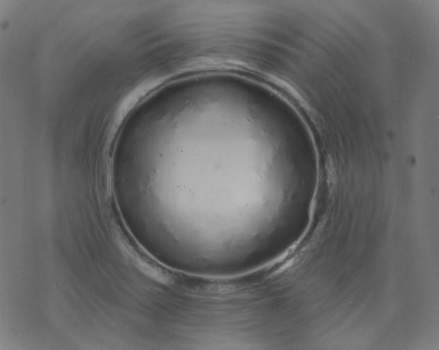 X0000074281371200609081816